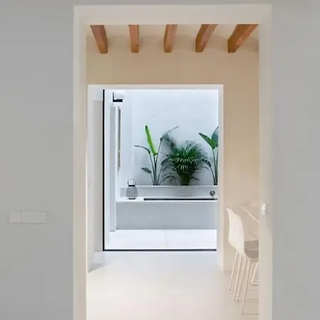 Apartamento Puerto Y Playa